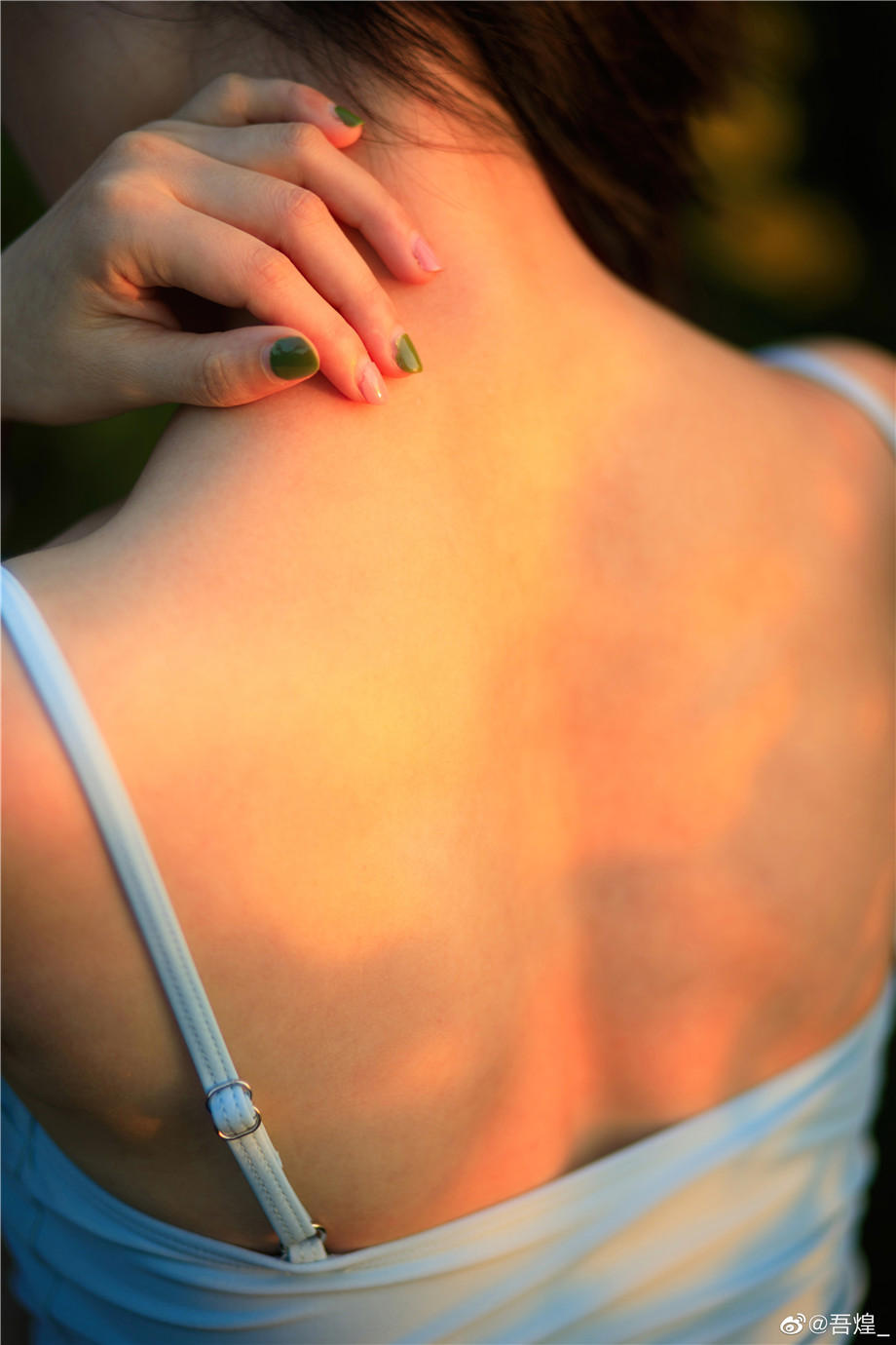 水仙花作文范文